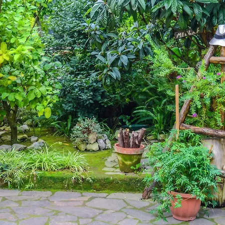 Daire Charming With Sea View In - 35 Sqm + Terrace